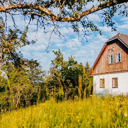 Nestelberg 17 Holiday home Lackenhof
