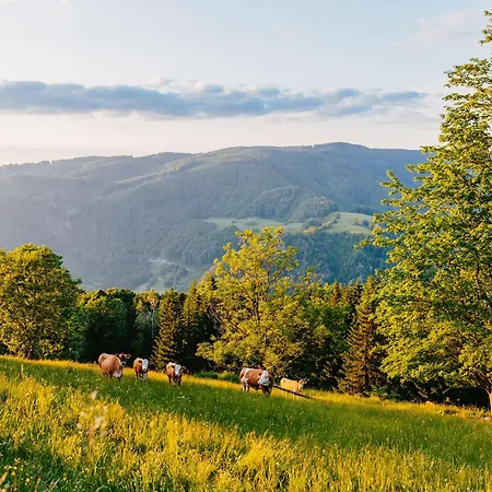 בית נופש Nestelberg 17 *