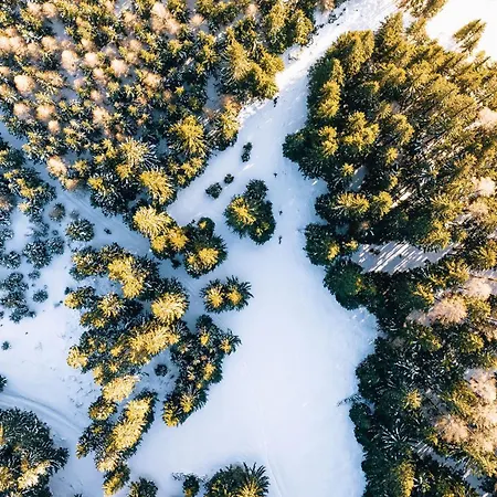 Nestelberg 17 Lackenhof