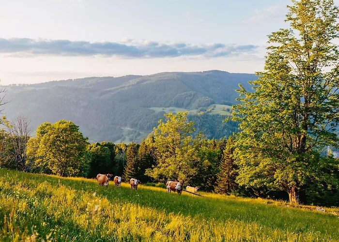 Ferienhaus Haus Am Berg: Nestelberg17 *