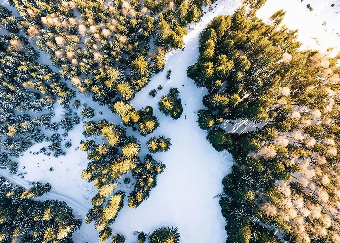 Nestelberg 17 Lackenhof