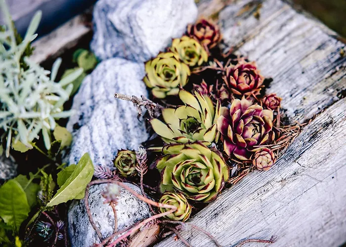 Haus Am Berg: Nestelberg17