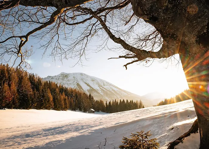 Haus Am Berg: Nestelberg17 * Lackenhof