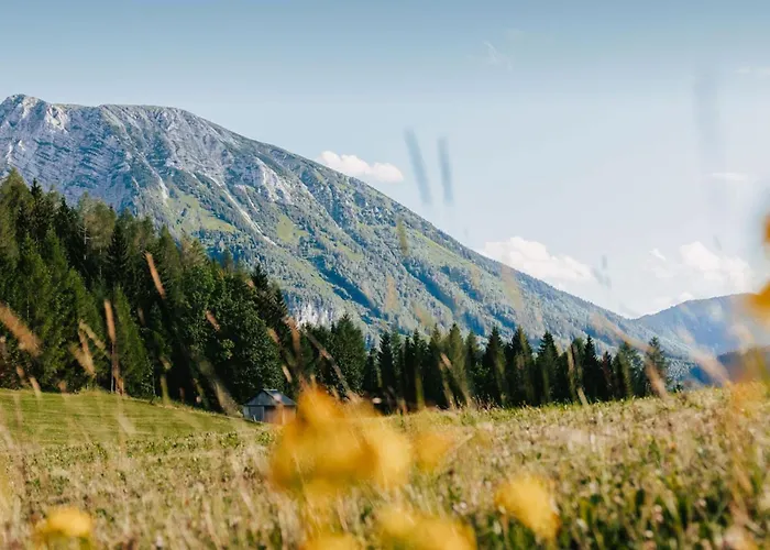 Nestelberg 17 Feriehus *