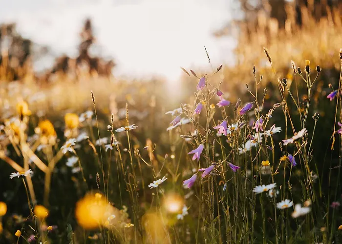 Haus Am Berg: Nestelberg17 Ferienhaus Lackenhof