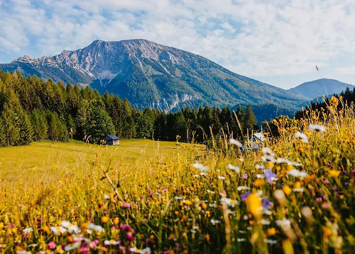 Haus Am Berg: Nestelberg17 Ferienhaus
